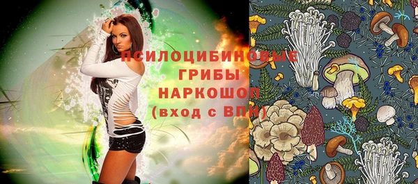 амфетамин Алексин