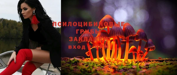 шишки Алексеевка