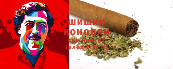 шишки Алексеевка