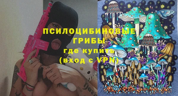 ECSTASY Алзамай
