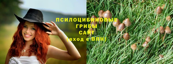 шишки Алексеевка