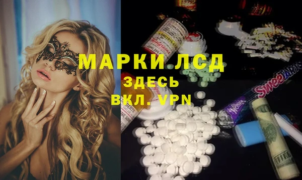 ECSTASY Алзамай