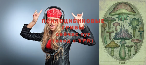 шишки Алексеевка