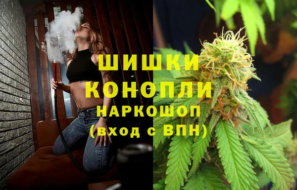 шишки Алексеевка