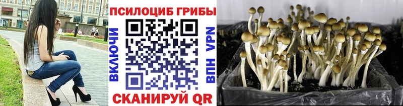 Псилоцибиновые грибы прущие грибы  что такое   Байкальск 